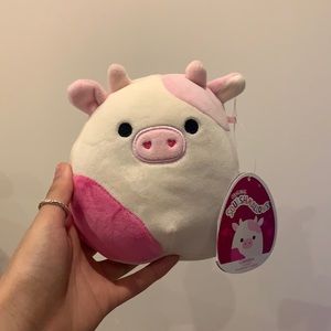 caedyn squishmallow
